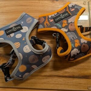 Lucy & Co. Dog Harness Set - Gray and Orange